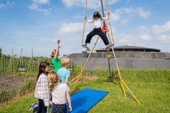 pampus circus