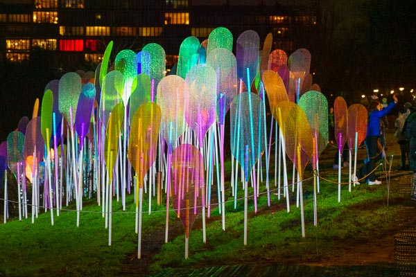 Amsterdam Light Festival 2021