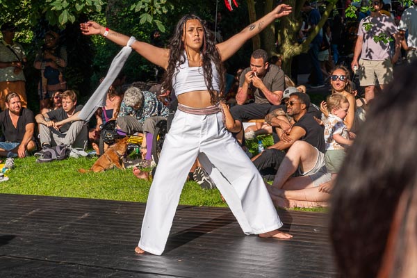 amsterdam roots festival