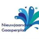 nieuwjaarsduik gaasperplas