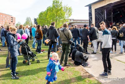 bevrijdingsfestival