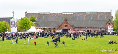 bevrijdingsfestival