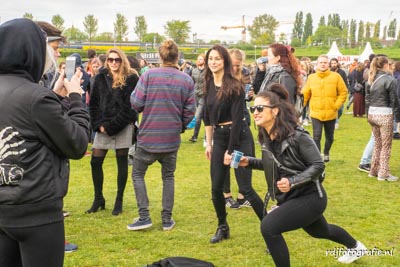 bevrijdingsfestival