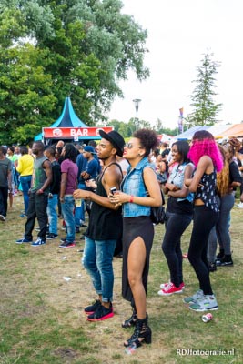 Kwaku summer festival 2013