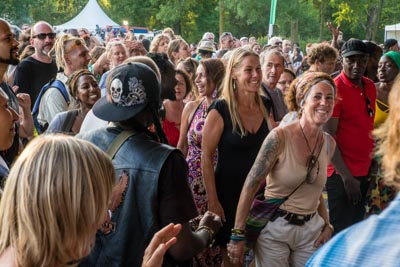 Roots 2018