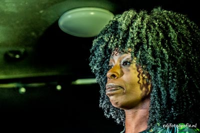 Amsterdam Roots Festival 2021