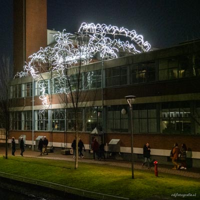 Amsterdam Light Festiaval 2021