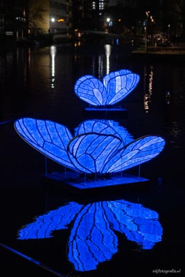 Amsterdam Light Festiaval 2021