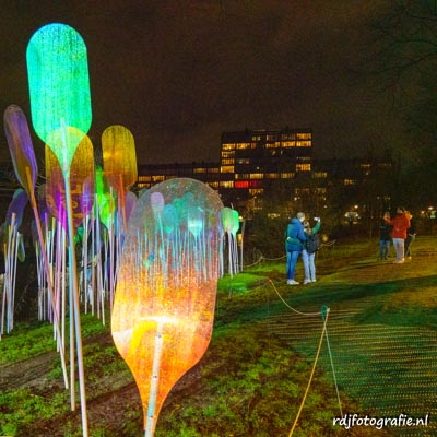 Amsterdam Light Festival 2022