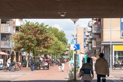 Gein 40 jaar 2025