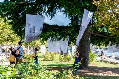 Festival Images Vevey 2016<br>Biennale des arts visuels