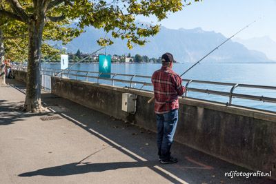 Festival Images Vevey 2016<br>Biennale des arts visuels