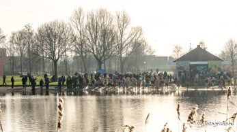 Nieuwjaarsduik 2016