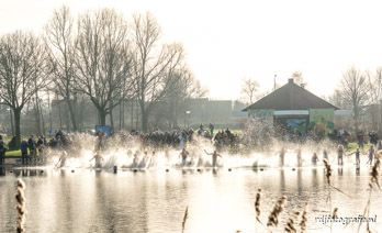 Nieuwjaarsduik 2016