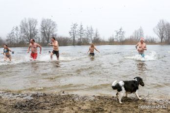 Nieuwjaarsduik 2017